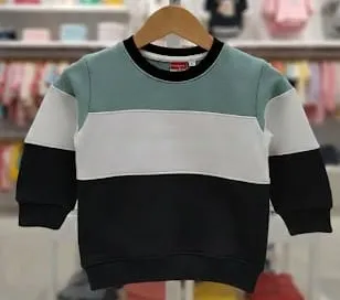 Panel Sweatshirts (14 Inches)